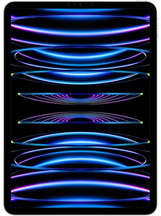 iPad Pro 11" 4th Gen (2022) Cellular