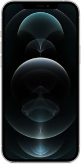 Apple, iPhone 12 Pro Max, Silver Image