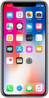 iPhone X
