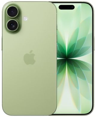 Apple, iPhone 17, Sage Image