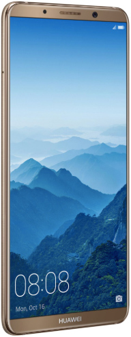 Huawei Mate 10 Pro, Mocha Brown, 128 GB, Bun