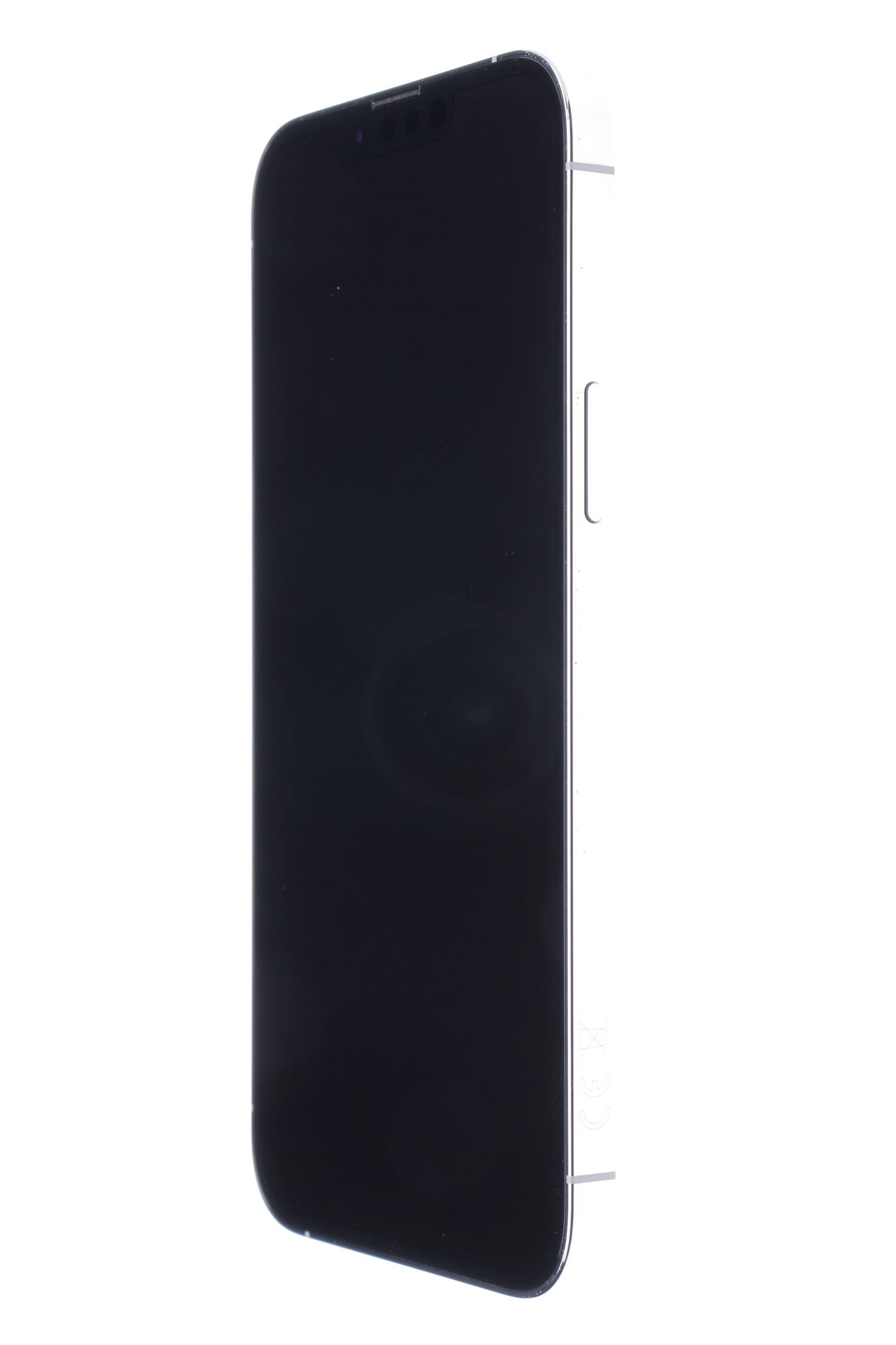 Apple iPhone 13 Pro Max 256 GB Silver - Ca nou