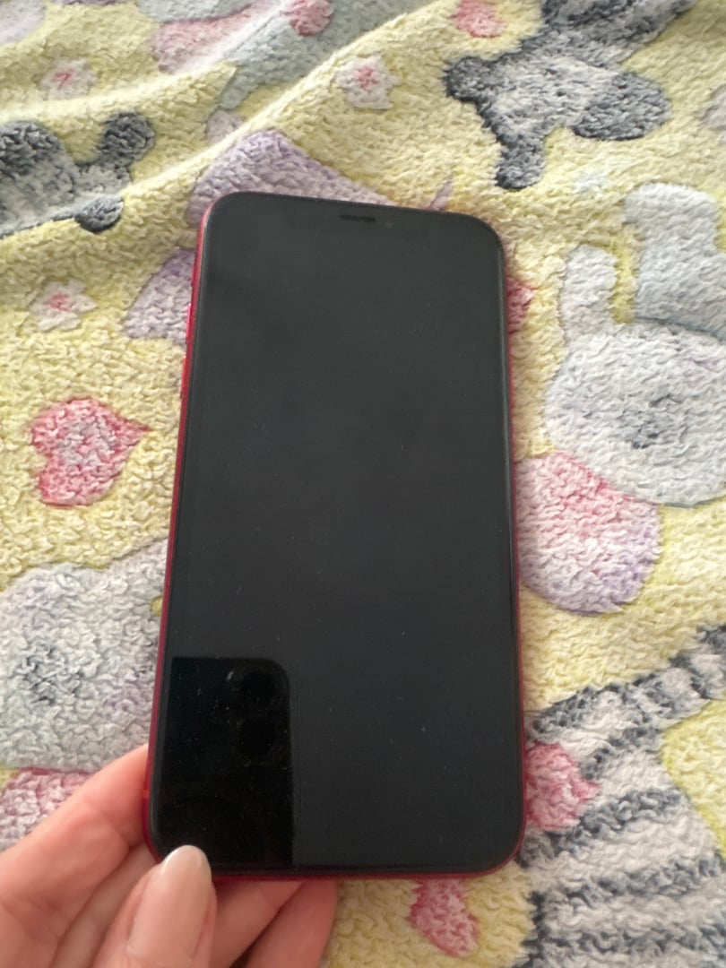 62501