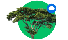 <strong>+ 40.000 tonna CO2 </strong> megtakarítás